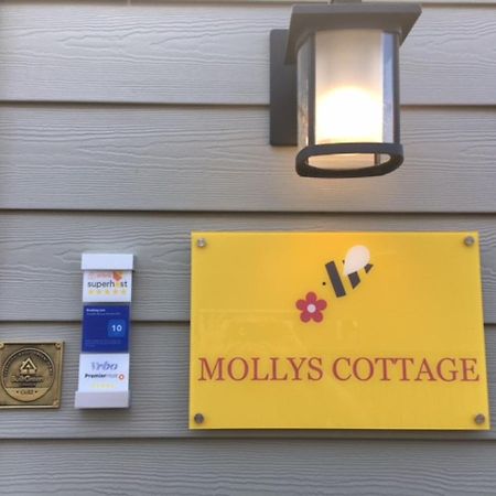 Mollys Cottage-The Suite On Vancouver Island Near Yyj Airport And The Wa And Bc Ferries North Saanich Ngoại thất bức ảnh