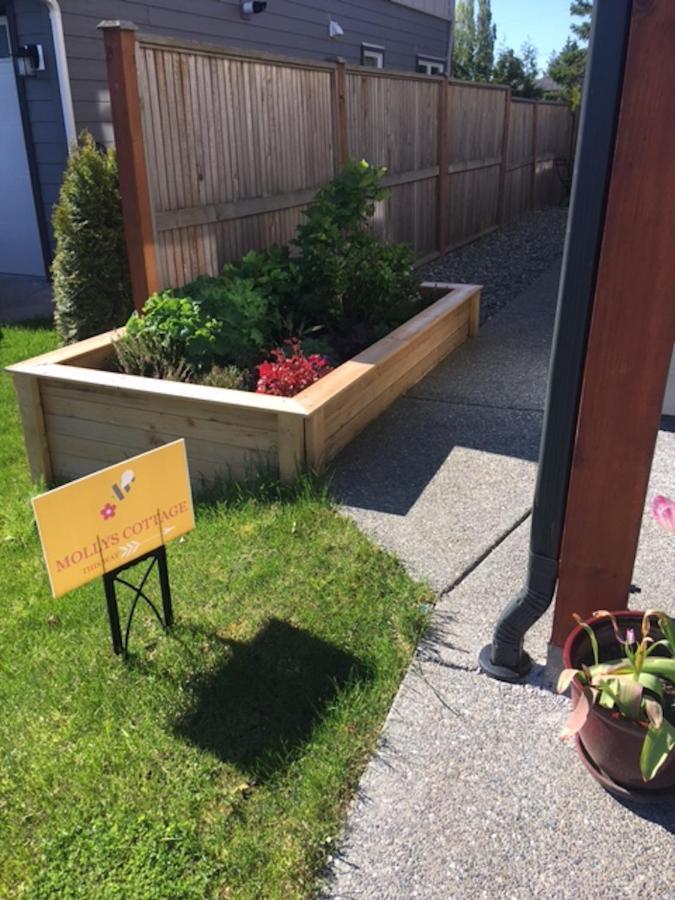 Mollys Cottage-The Suite On Vancouver Island Near Yyj Airport And The Wa And Bc Ferries North Saanich Ngoại thất bức ảnh